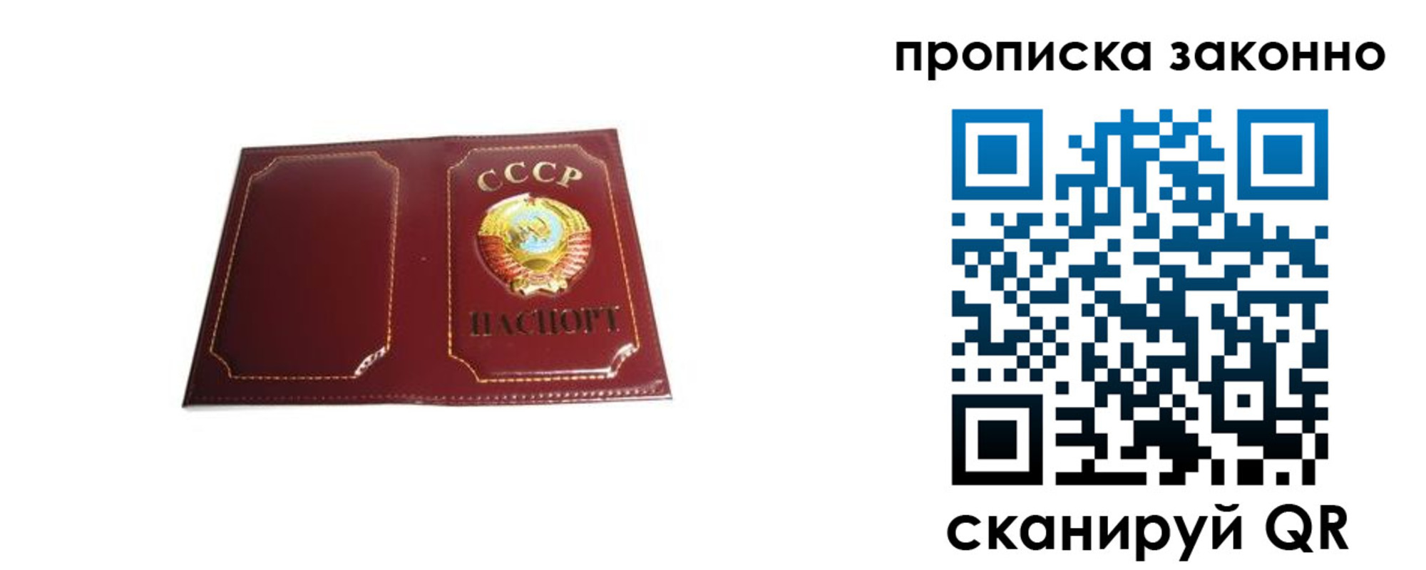 прописка законно в Щиграх